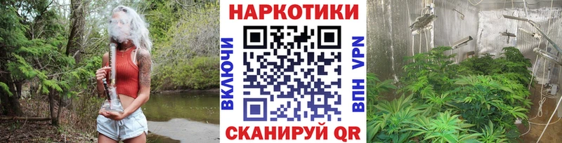 Виды наркоты Кимовск Амфетамин  NBOMe  Меф  Гашиш  Cocaine 