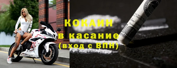 гидра Алексин