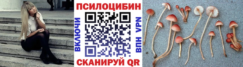 маркетплейс клад  MEGA как зайти  Галлюциногенные грибы мицелий  Кимовск  закладка 